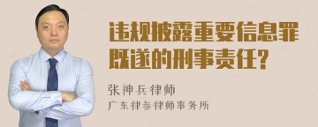 违规披露重要信息罪既遂的刑事责任?
