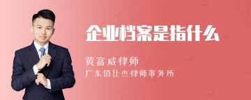 企业档案是指什么