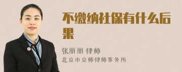 不缴纳社保有什么后果