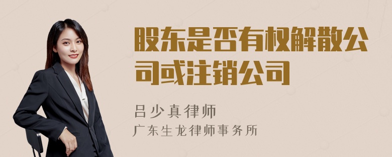 股东是否有权解散公司或注销公司