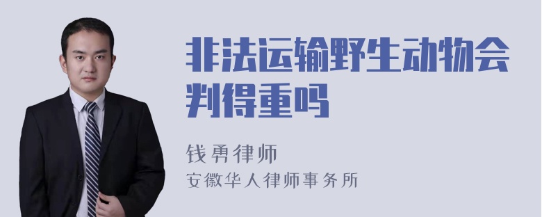 非法运输野生动物会判得重吗