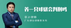 养一只球蟒会判刑吗