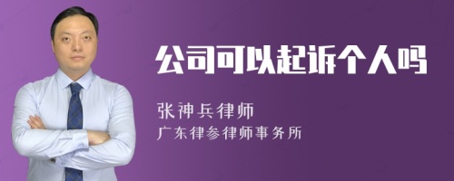 公司可以起诉个人吗