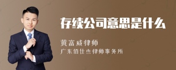 存续公司意思是什么