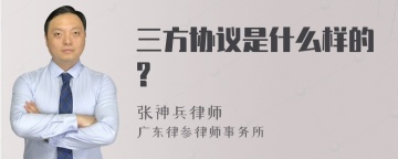 三方协议是什么样的?