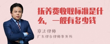 抚养费收取标准是什么，一般有多少钱