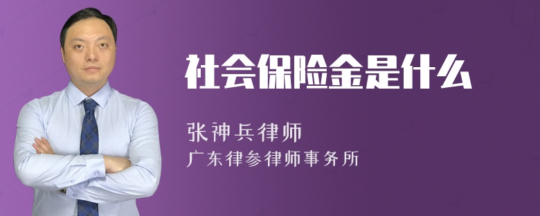 社会保险金是什么