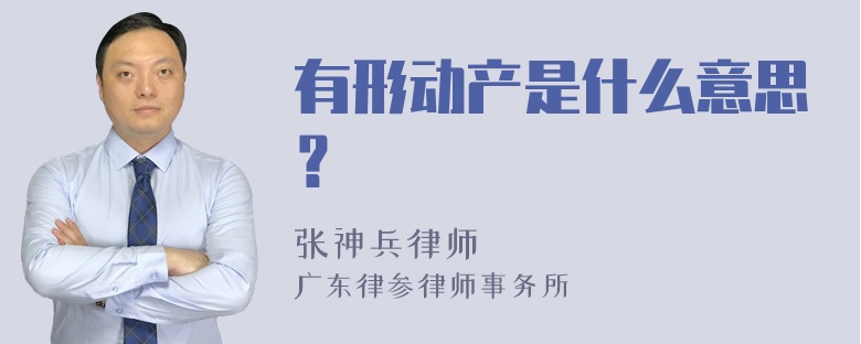 有形动产是什么意思？