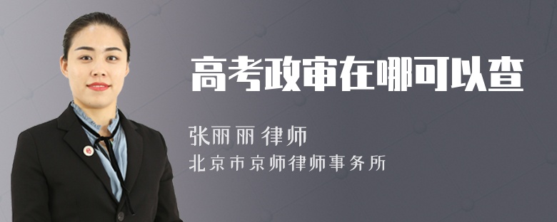 高考政审在哪可以查