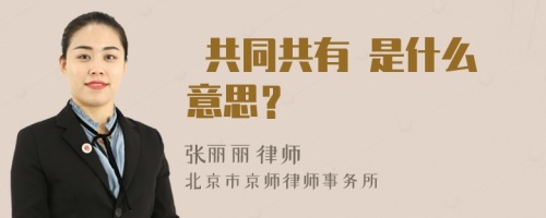  共同共有 是什么意思？