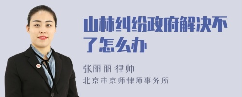 山林纠纷政府解决不了怎么办