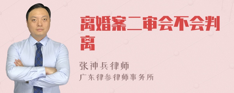 离婚案二审会不会判离