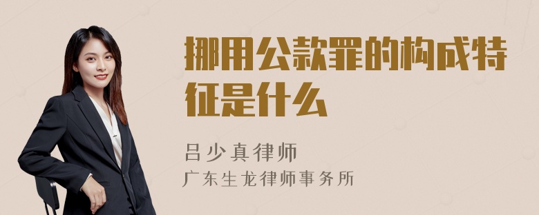 挪用公款罪的构成特征是什么