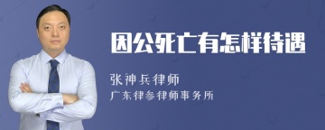 因公死亡有怎样待遇