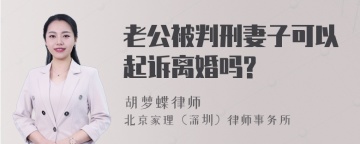 老公被判刑妻子可以起诉离婚吗?