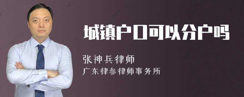 城镇户口可以分户吗