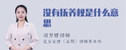 没有抚养权是什么意思