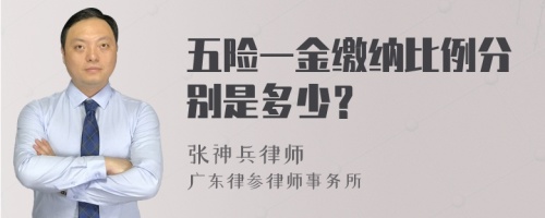 五险一金缴纳比例分别是多少？