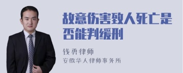 故意伤害致人死亡是否能判缓刑