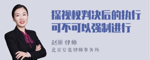 探视权判决后的执行可不可以强制进行