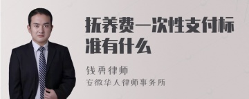 抚养费一次性支付标准有什么