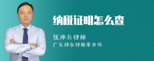 纳税证明怎么查