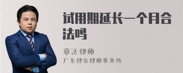 试用期延长一个月合法吗