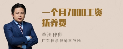 一个月7000工资抚养费