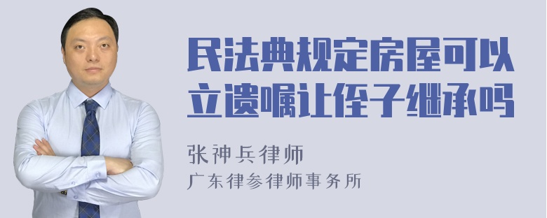 民法典规定房屋可以立遗嘱让侄子继承吗