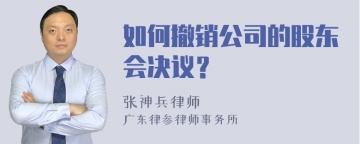 如何撤销公司的股东会决议？