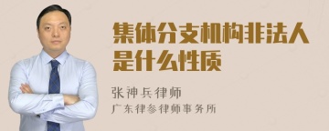 集体分支机构非法人是什么性质