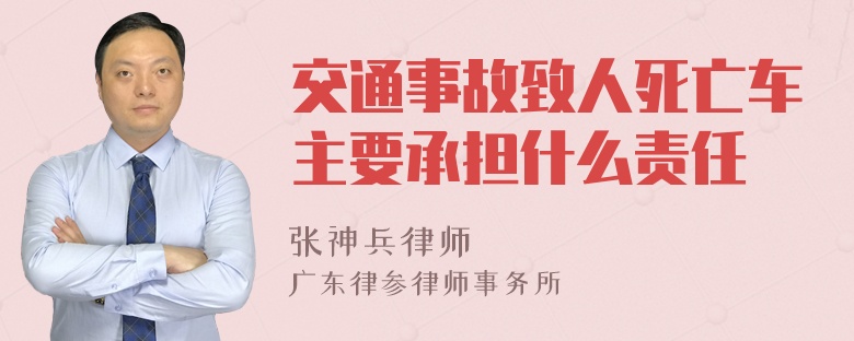 交通事故致人死亡车主要承担什么责任