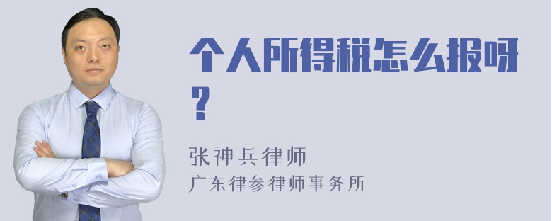 个人所得税怎么报呀？