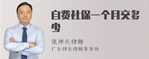 自费社保一个月交多少