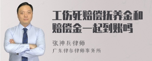 工伤死赔偿抚养金和赔偿金一起到账吗