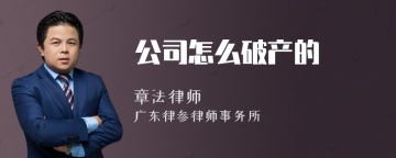 公司怎么破产的