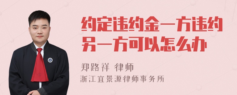 约定违约金一方违约另一方可以怎么办