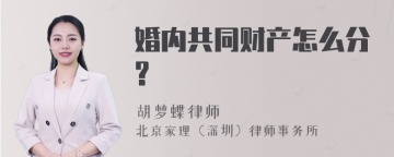 婚内共同财产怎么分?