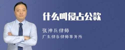 什么叫侵占公款