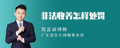 非法收养怎样处罚