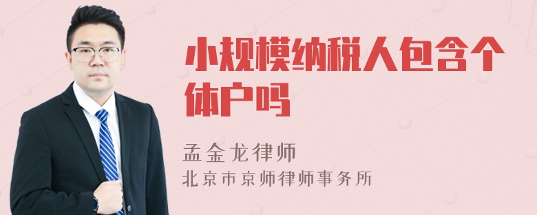 小规模纳税人包含个体户吗