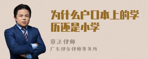 为什么户口本上的学历还是小学