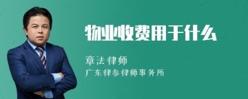 物业收费用于什么