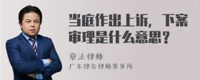 当庭作出上诉，下案审理是什么意思？