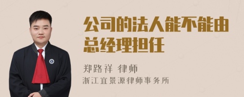 公司的法人能不能由总经理担任