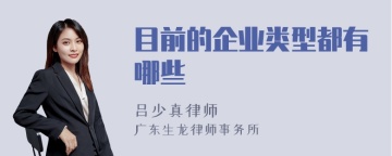 目前的企业类型都有哪些