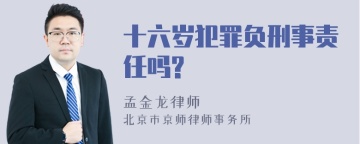 十六岁犯罪负刑事责任吗?