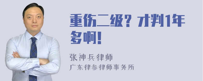 重伤二级？才判1年多啊！