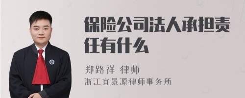 保险公司法人承担责任有什么