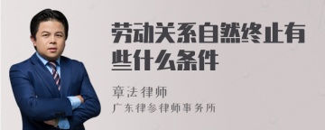 劳动关系自然终止有些什么条件